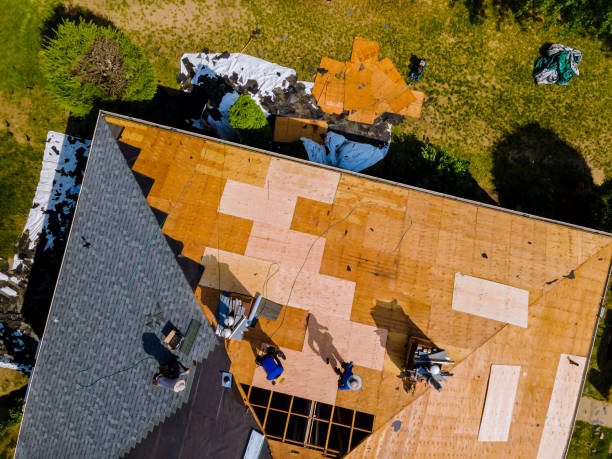 Best Storm Damage Roof Repair  in Champlin, MN