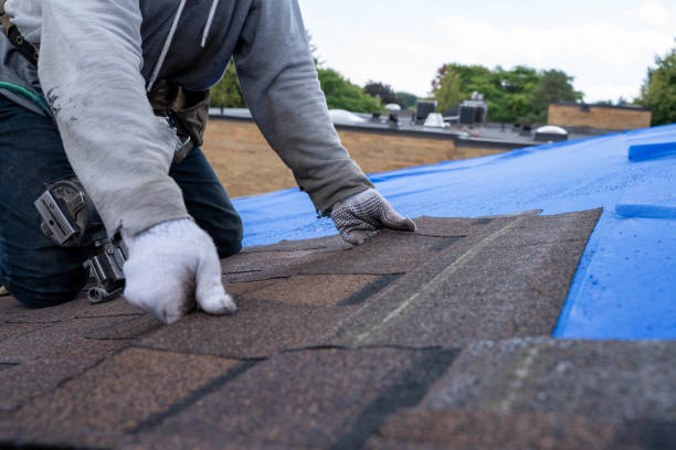 Best New Roof Installation  in Champlin, MN