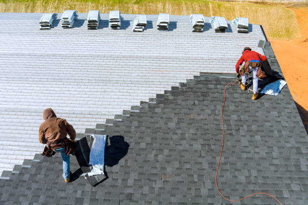 Best Flat Roof Repair Services  in Champlin, MN