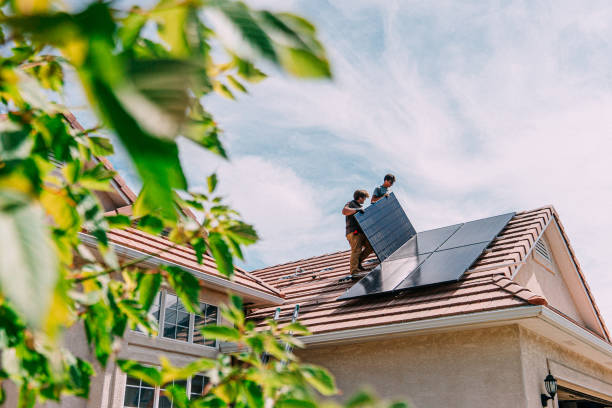 Best Roof Gutter Cleaning  in Champlin, MN