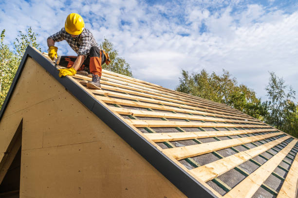 Best Roof Maintenance Services  in Champlin, MN