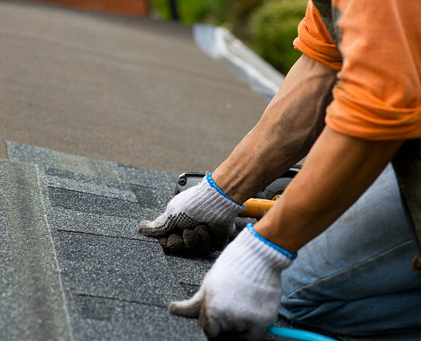 Best Roof Maintenance Services  in Champlin, MN