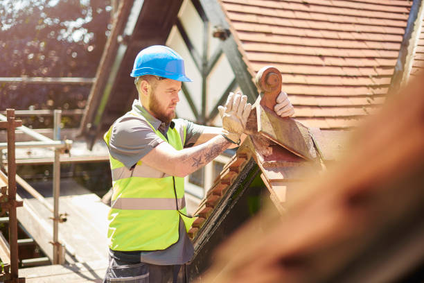 Roof Gutter Cleaning in Champlin, MN