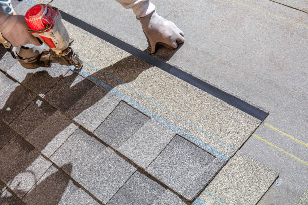 Professional Roofing Contractor in Champlin, MN