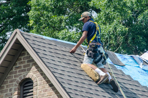 Best Roof Gutter Cleaning  in Champlin, MN